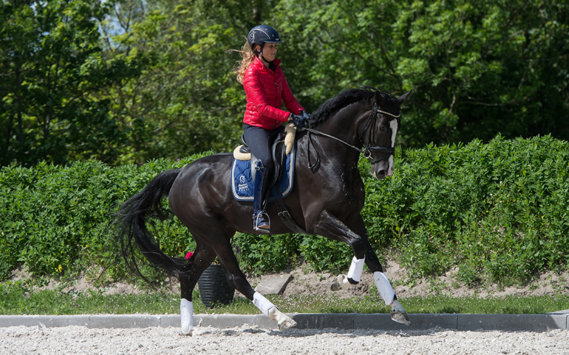 Accomodatie-vdlinde-9